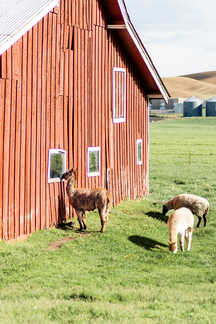 The Power of Agribusiness Download: Helping Agents Integrate Critical Data